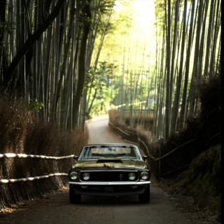 LXZN9-