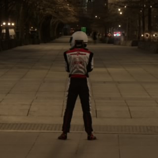 The Stig