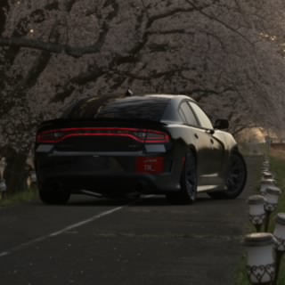 TZ_