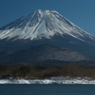 たこ