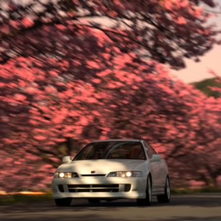 Boosted Honda