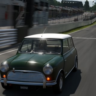 gatuso45