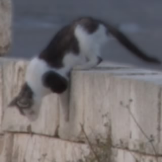 ぬっへっほふ