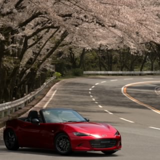 だいすけ