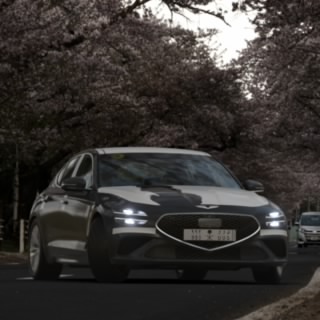 الهذلي 515