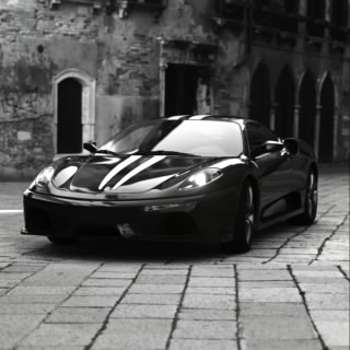 Theracingcat