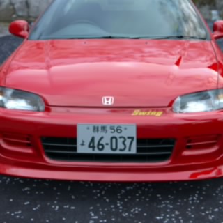 Shingo Shoji