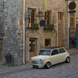 Racebean