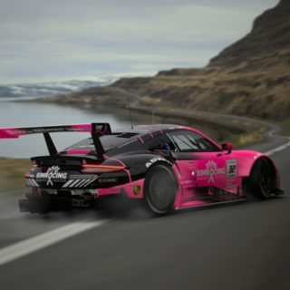 HWP_SpeedKilz85