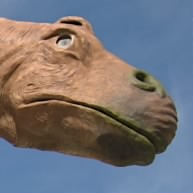 Ynot