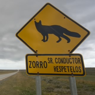 Checo