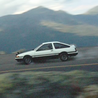 P.Wejstorp