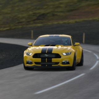 V88 WLK