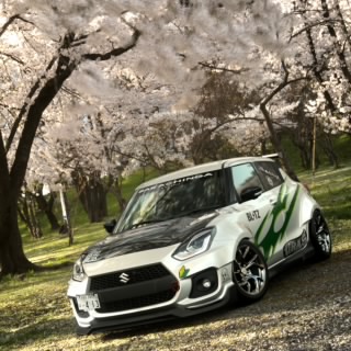 ［桜Racing］車好きな猫