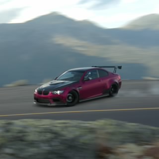 MallySchublacker