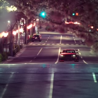 Fdv-Cizla88