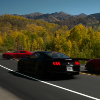 Wg7