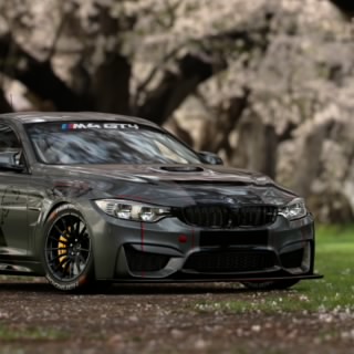 Elite