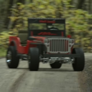 STEVE D. (BEAST)