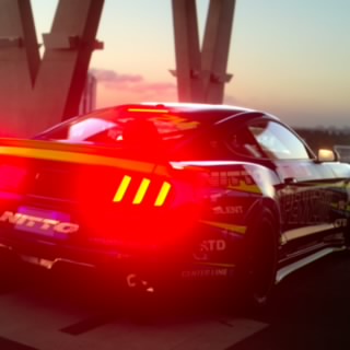 Falken-D1_Mastrz