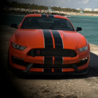Magi