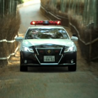 くまプーさん