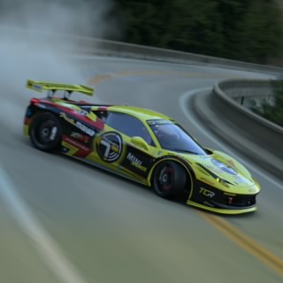 TCR_Garna