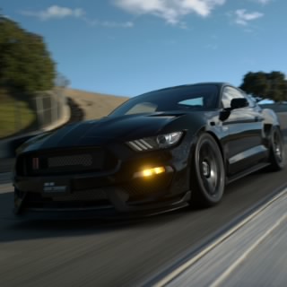 RickyBobbyRoss