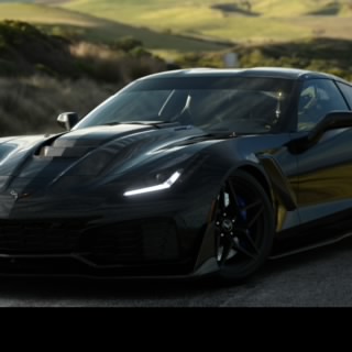 7md