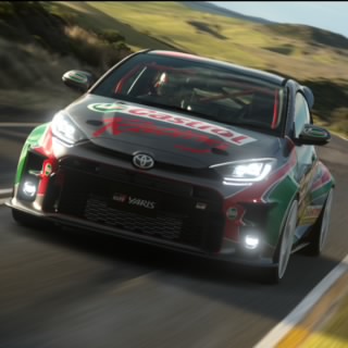 P1R_Morizo
