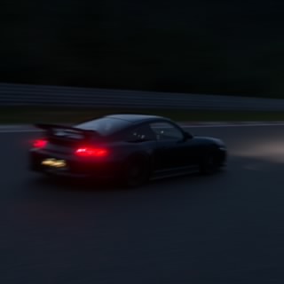 K4Lion95