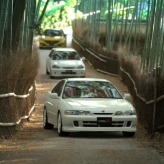 abreuRD