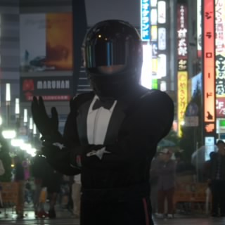 The Stig