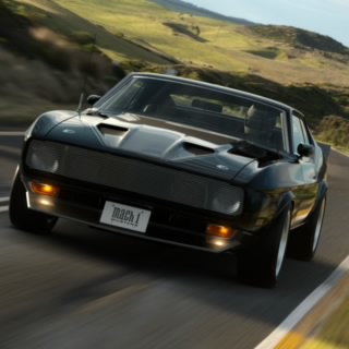 The Wiggster 