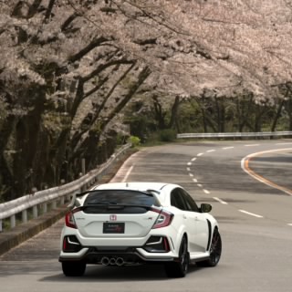 fk8