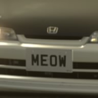 meow_costa