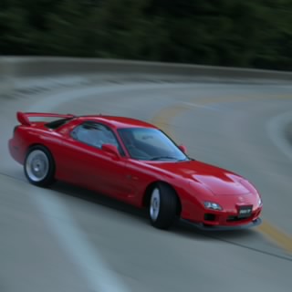 Progt7