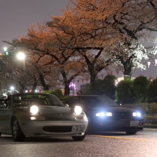 シカ