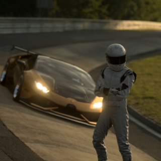 The Stig