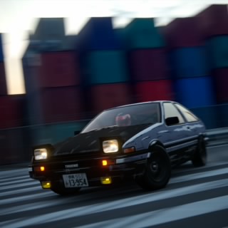 Toro_gogo