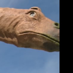 chadidas