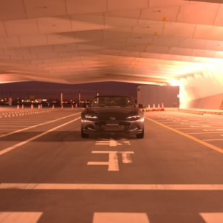 AscariF1
