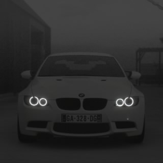 RoRo_306