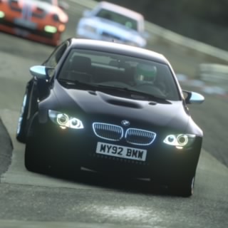 The stig