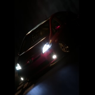 Evonymous_9