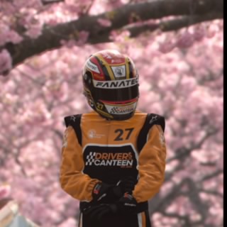 DC_Nesrov