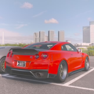 TScustoms