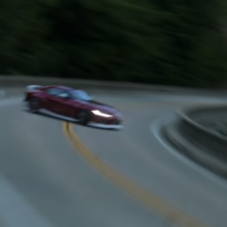 Banifedo