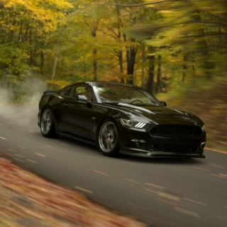 Senna