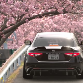 kanato8008